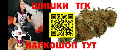индика Нягань