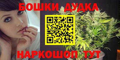 индика Нягань