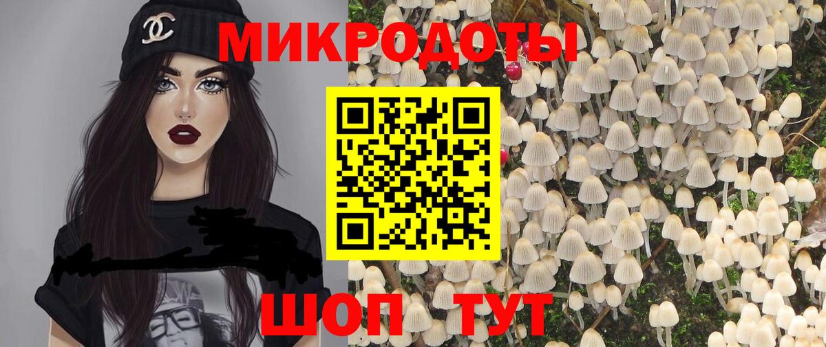 Псилоцибиновые грибы Psilocybe  Вход с VPN  Саров  Псилоцибиновые грибы ЛСД 